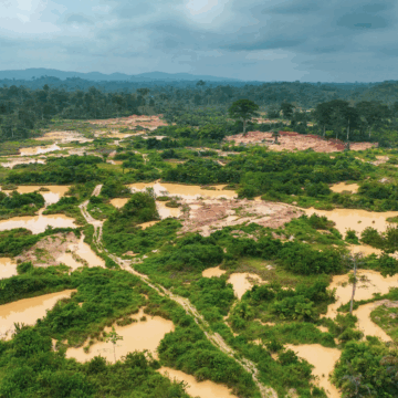 Galamsey Threatens Ghana’s Onshore Oil Prospects—GNPC Board Member Warns