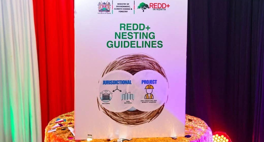 Kenya launches Africa’s first REDD+ registry, reshaping forest carbon accounting.