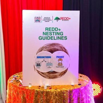 Kenya launches Africa’s first REDD+ registry, reshaping forest carbon accounting.