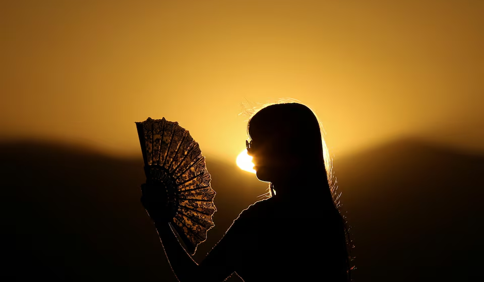 European heatwave caused 2,300 deaths, scientists estimate