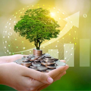 Ghana Secures $1 Billion for Climate Financing to Boost Green Transition Projects