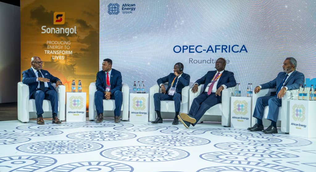 Gabon Draws Energy Giants as OPEC Spotlights African Market Potential