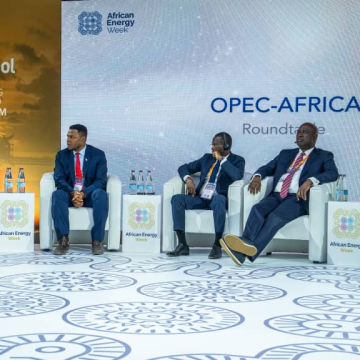 Gabon Draws Energy Giants as OPEC Spotlights African Market Potential