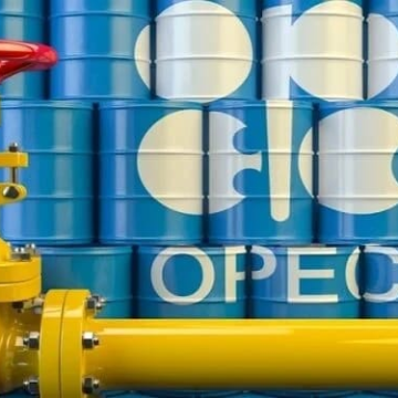 Stop Exporting Crude: OPEC’s Wake-Up Call to Nigeria