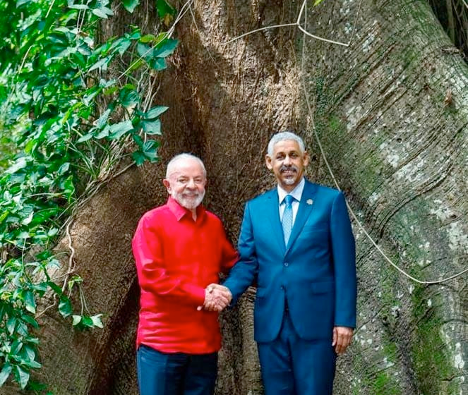 COP30: African Development Bank to Champion Africa’s Push for Climate Finance Reform and Just Energy Transition