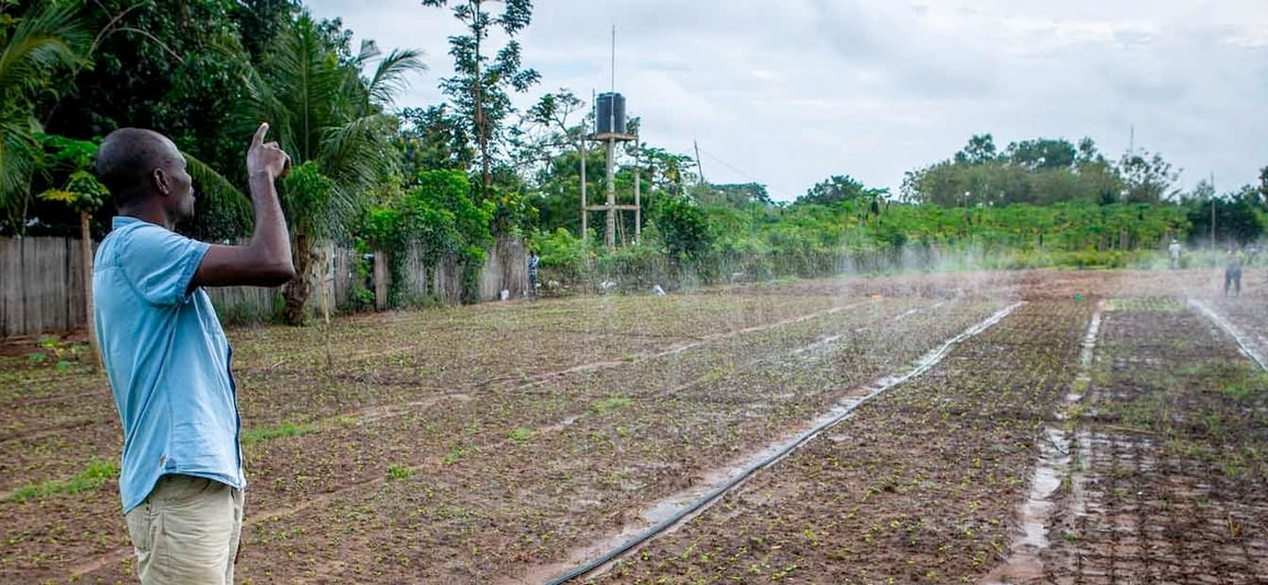 African Development Bank Piloting Several Financial Instruments to Support African Countries in Tackling Climate Change