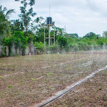 African Development Bank Piloting Several Financial Instruments to Support African Countries in Tackling Climate Change