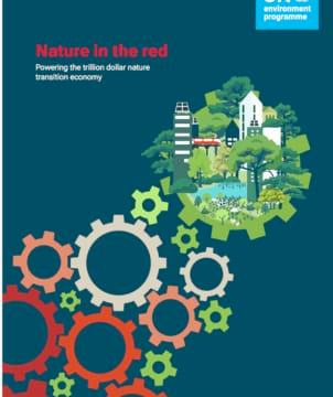 UNEP Report: World spends 30 times more on destroying nature than protecting it