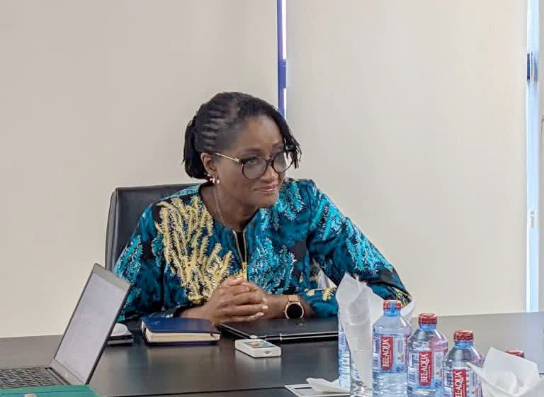 Energy Commission Advances Sustainable Cooling Agenda