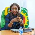 Nigeria Opens 2026 Licensing Round, Offers 40 Oil and Gas Blocks to Investors