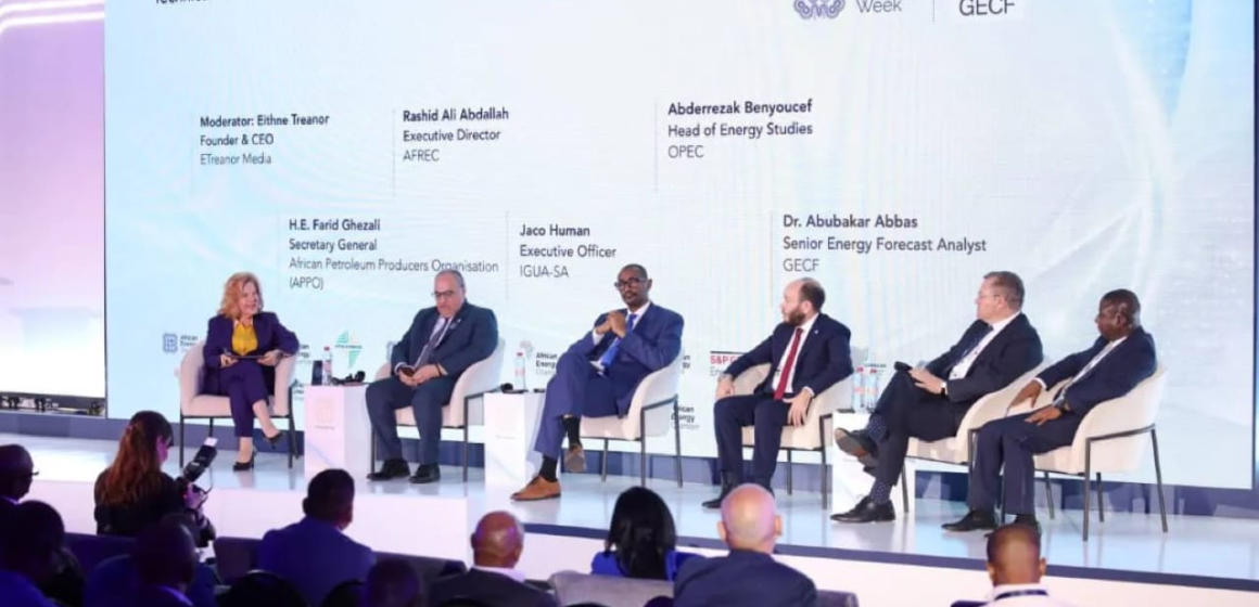 image-17.webp Africa Energy Bank to Begin Financing Gas Projects in Early 2027, APPO Says