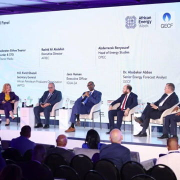Africa Energy Bank to Begin Financing Gas Projects in Early 2027, APPO Says