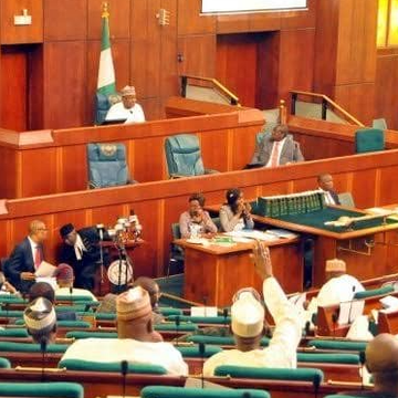 Nigeria Moves to Establish Renewable Energy Authority as Reps Advance Bill