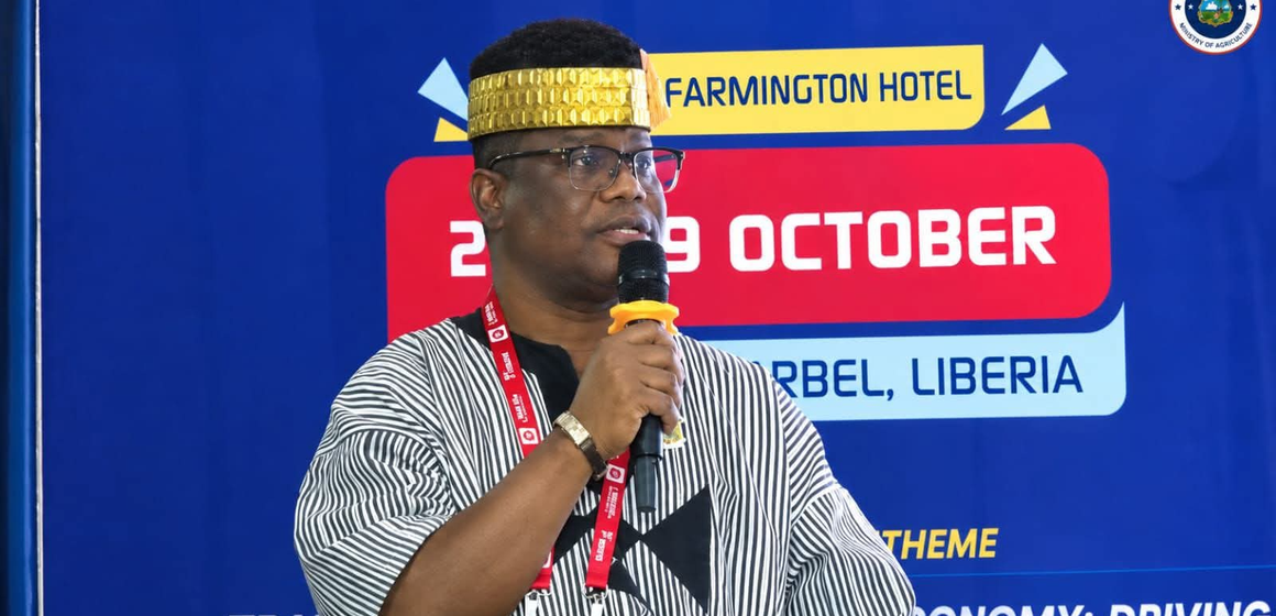 Liberia’s Mines and Energy Minister Calls for Greater Local Value from Mineral Resources.